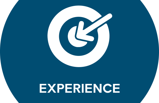 experience-blue-540x350.png