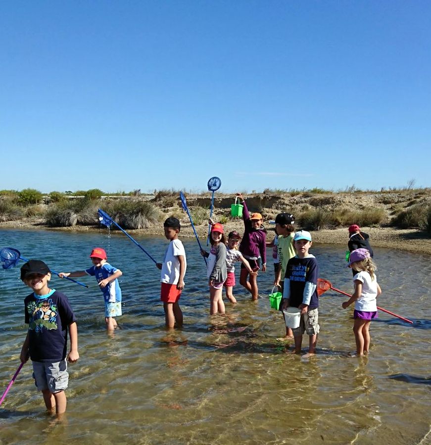 nemo-peche-epuisettes